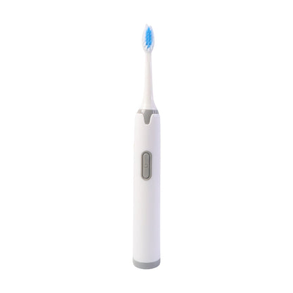 Dental Brush